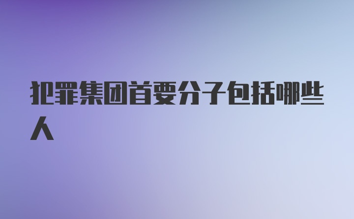 犯罪集团首要分子包括哪些人