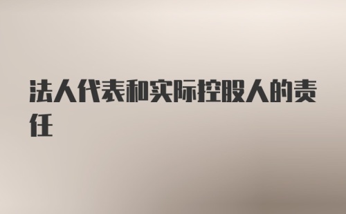 法人代表和实际控股人的责任