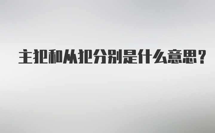 主犯和从犯分别是什么意思?