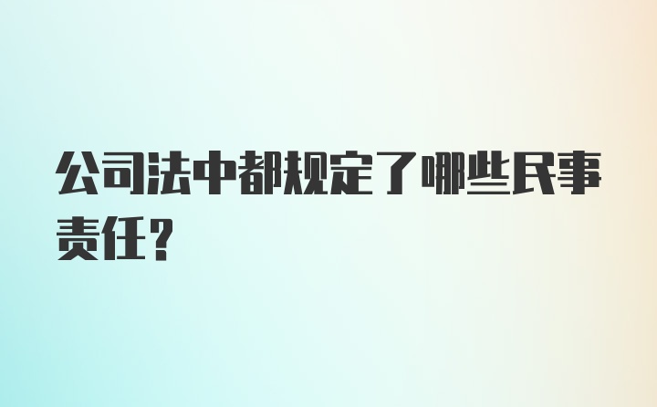 公司法中都规定了哪些民事责任？