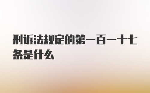 刑诉法规定的第一百一十七条是什么