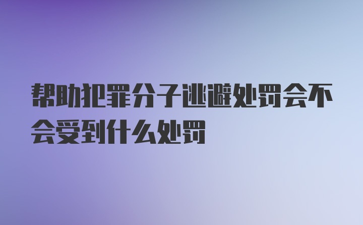 帮助犯罪分子逃避处罚会不会受到什么处罚