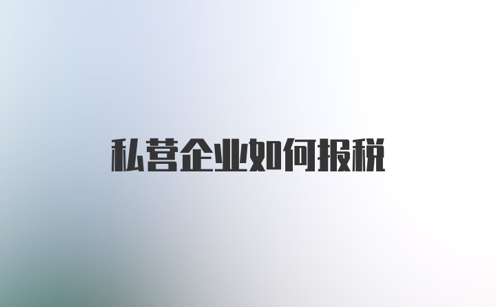 私营企业如何报税