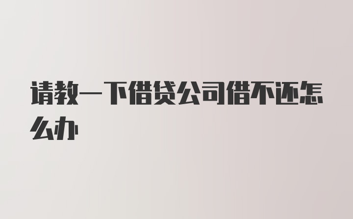 请教一下借贷公司借不还怎么办