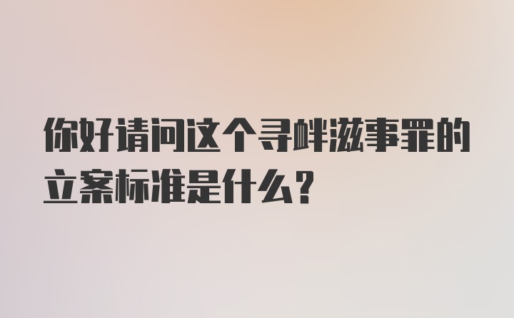 你好请问这个寻衅滋事罪的立案标准是什么？