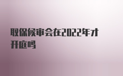 取保候审会在2022年才开庭吗