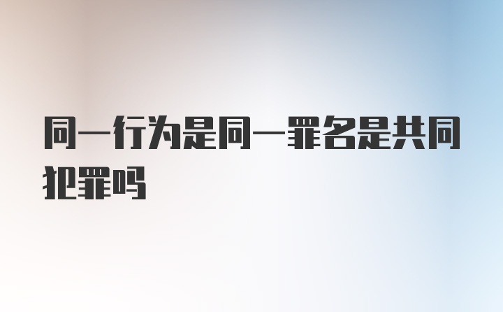 同一行为是同一罪名是共同犯罪吗