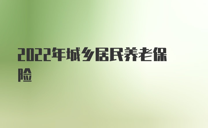 2022年城乡居民养老保险