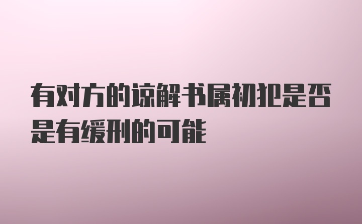 有对方的谅解书属初犯是否是有缓刑的可能