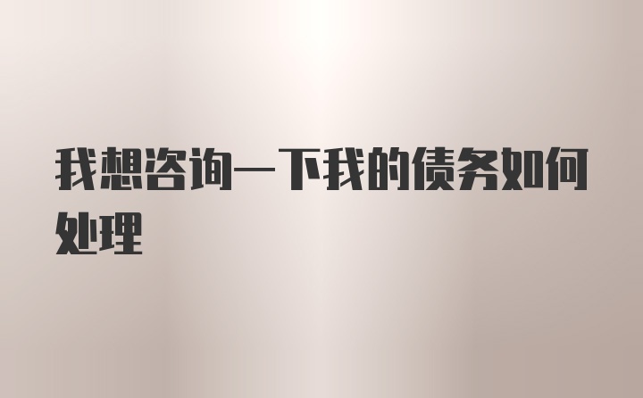 我想咨询一下我的债务如何处理