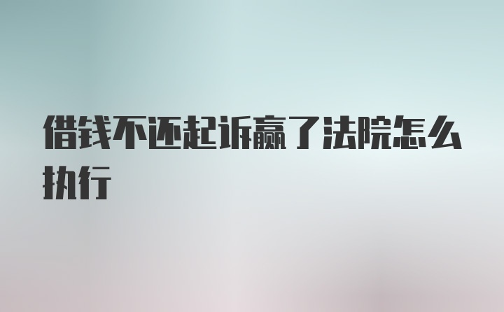 借钱不还起诉赢了法院怎么执行