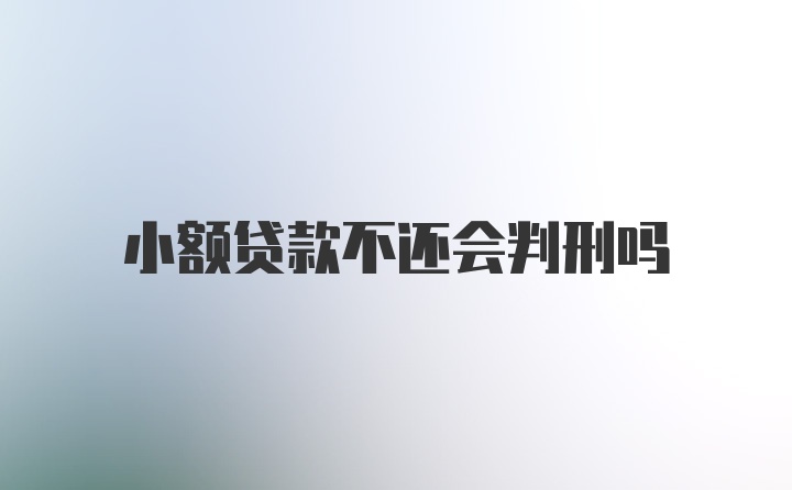 小额贷款不还会判刑吗