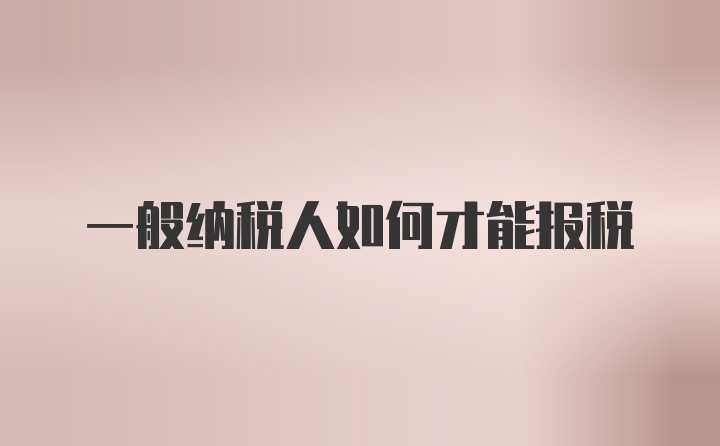 一般纳税人如何才能报税