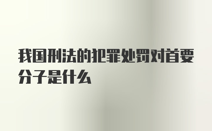 我国刑法的犯罪处罚对首要分子是什么