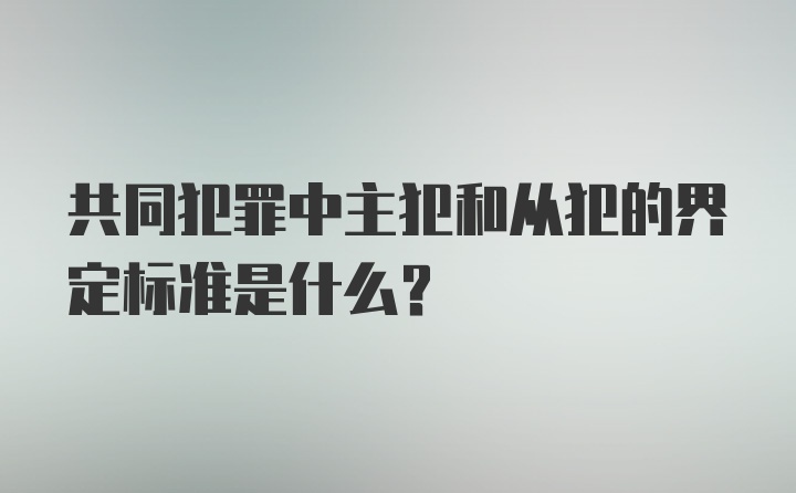 共同犯罪中主犯和从犯的界定标准是什么?