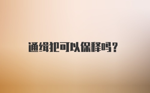 通缉犯可以保释吗？