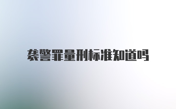 袭警罪量刑标准知道吗