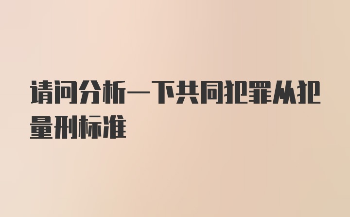 请问分析一下共同犯罪从犯量刑标准