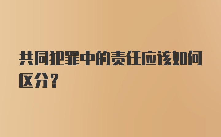 共同犯罪中的责任应该如何区分？