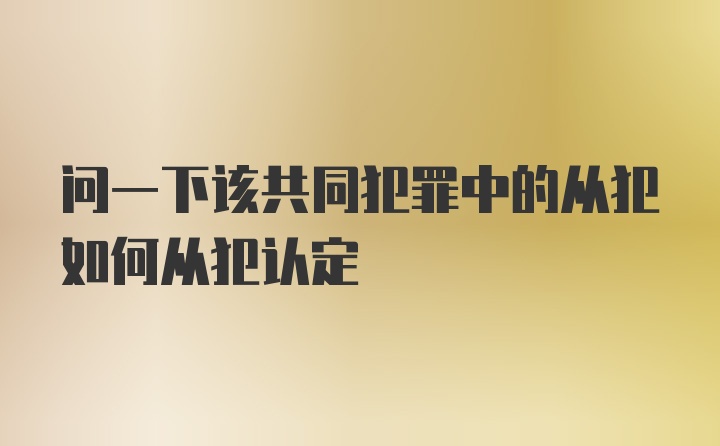 问一下该共同犯罪中的从犯如何从犯认定