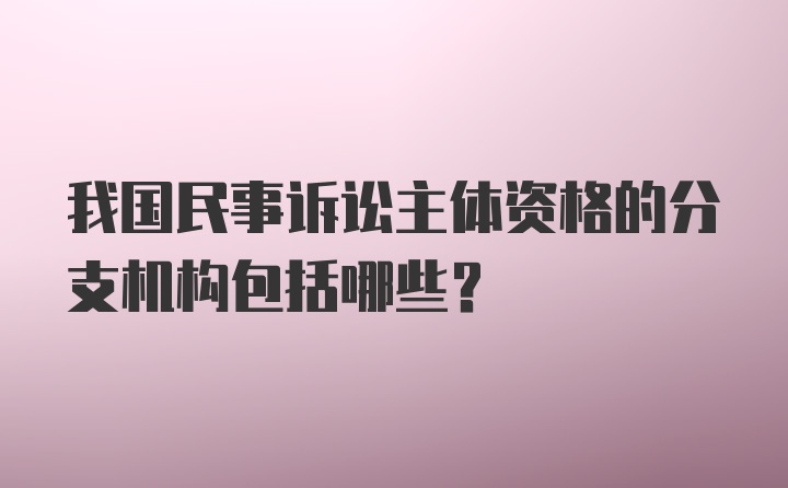 我国民事诉讼主体资格的分支机构包括哪些?