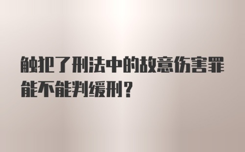 触犯了刑法中的故意伤害罪能不能判缓刑？