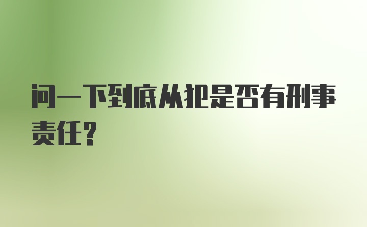 问一下到底从犯是否有刑事责任?