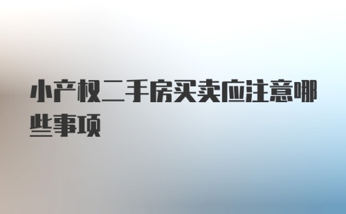 小产权二手房买卖应注意哪些事项