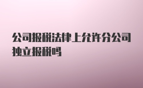 公司报税法律上允许分公司独立报税吗