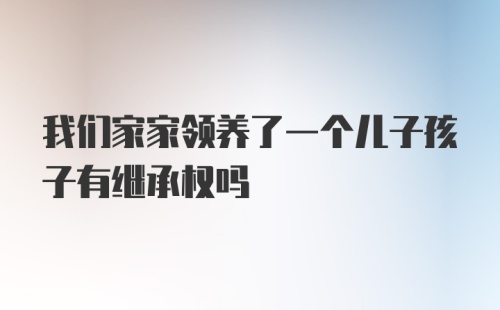 我们家家领养了一个儿子孩子有继承权吗