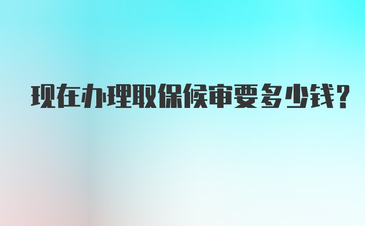 现在办理取保候审要多少钱？