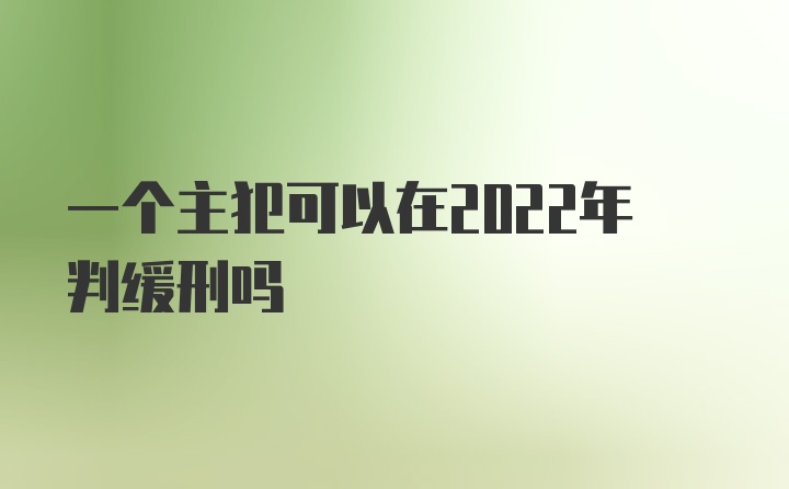 一个主犯可以在2022年判缓刑吗