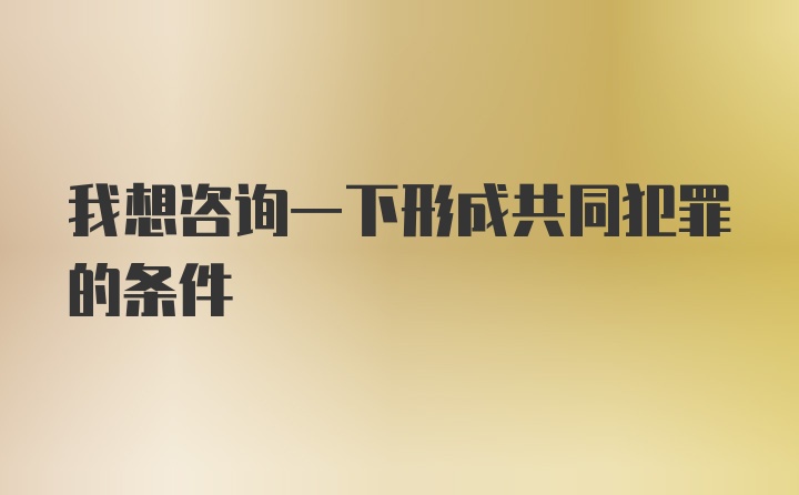 我想咨询一下形成共同犯罪的条件