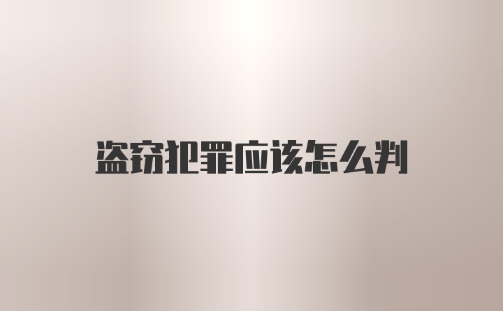 盗窃犯罪应该怎么判