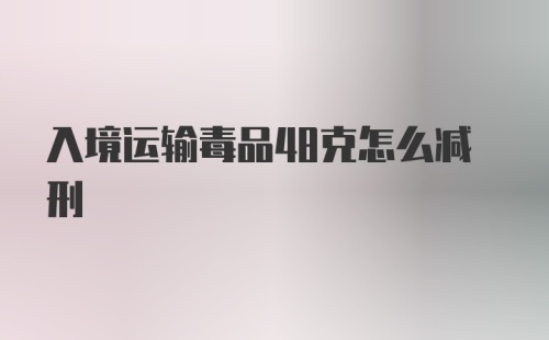 入境运输毒品48克怎么减刑