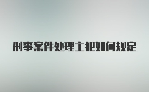 刑事案件处理主犯如何规定