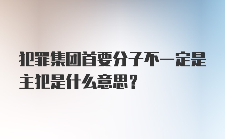 犯罪集团首要分子不一定是主犯是什么意思?