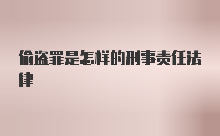 偷盗罪是怎样的刑事责任法律