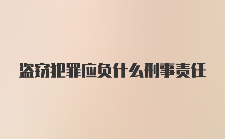 盗窃犯罪应负什么刑事责任