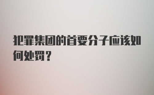 犯罪集团的首要分子应该如何处罚？