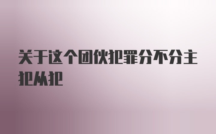 关于这个团伙犯罪分不分主犯从犯