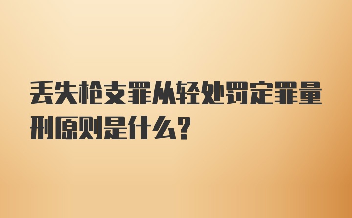 丢失枪支罪从轻处罚定罪量刑原则是什么？