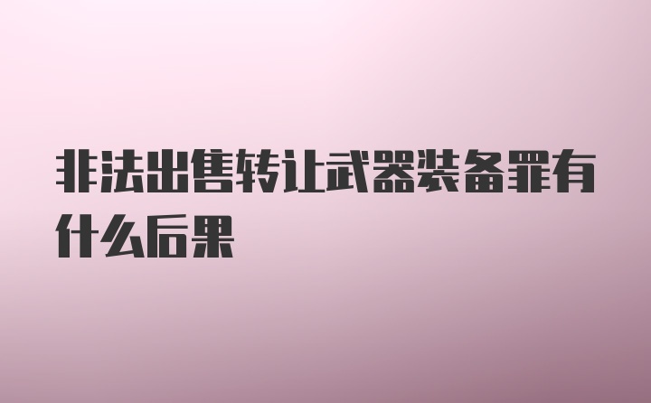 非法出售转让武器装备罪有什么后果