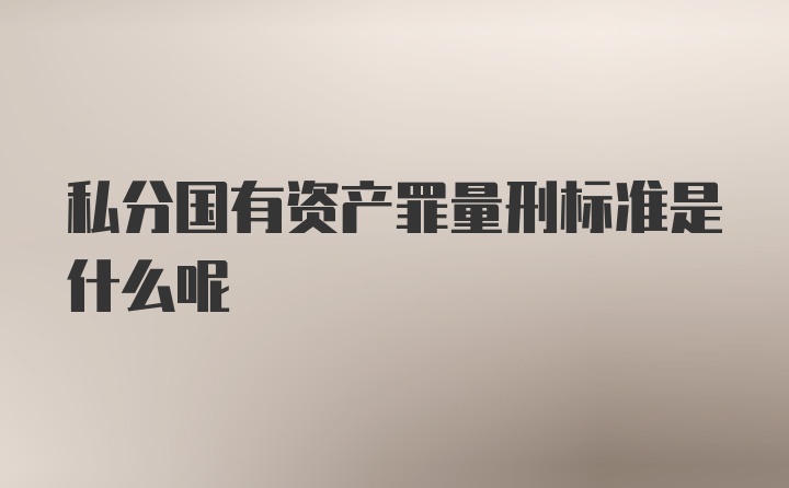 私分国有资产罪量刑标准是什么呢