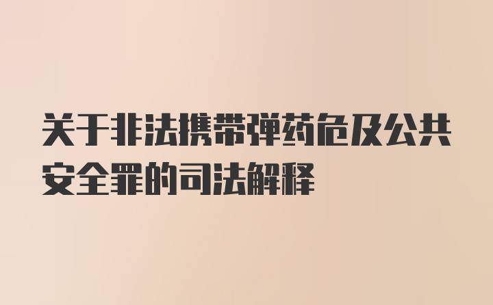 关于非法携带弹药危及公共安全罪的司法解释