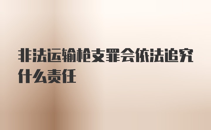 非法运输枪支罪会依法追究什么责任