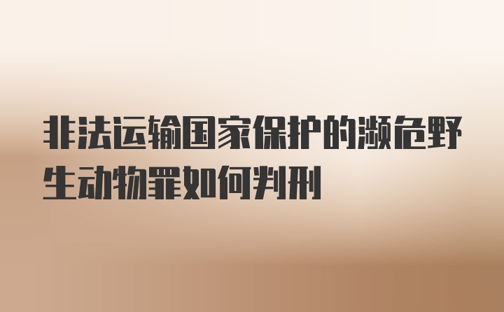 非法运输国家保护的濒危野生动物罪如何判刑