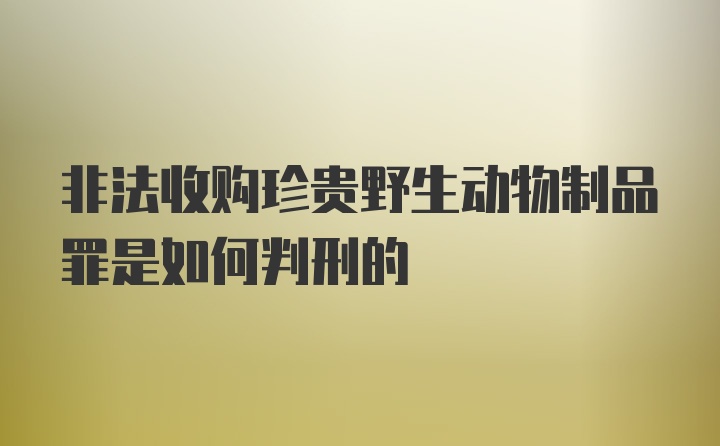 非法收购珍贵野生动物制品罪是如何判刑的