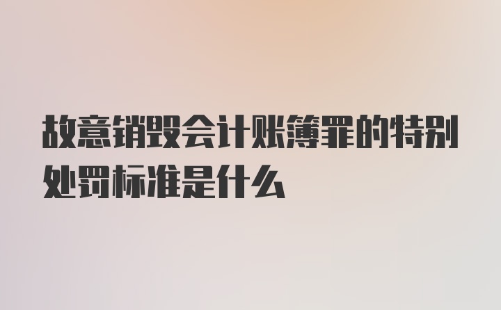 故意销毁会计账簿罪的特别处罚标准是什么