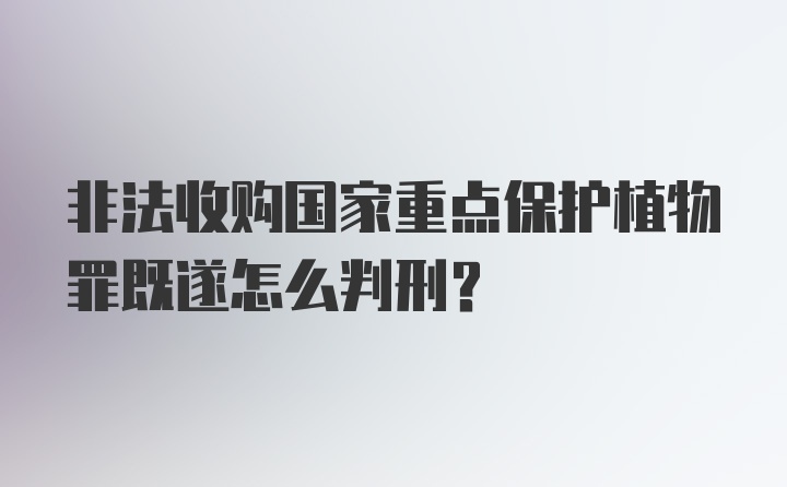 非法收购国家重点保护植物罪既遂怎么判刑？